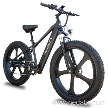 Electric Fat Tire Bike for sand